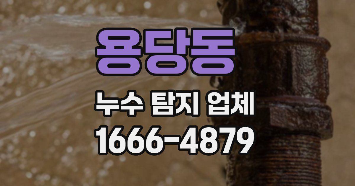 용당동 누수 탐지 업체