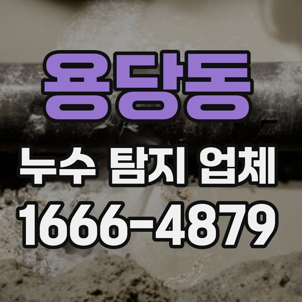 용당동 누수 탐지 업체