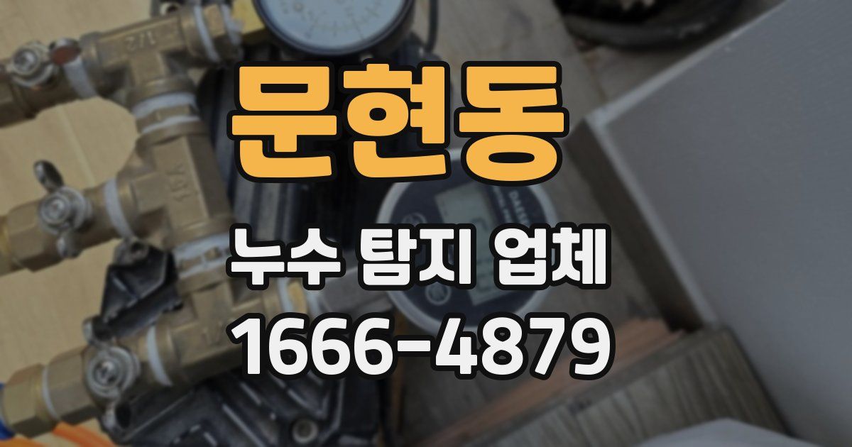 문현동 누수 탐지 업체