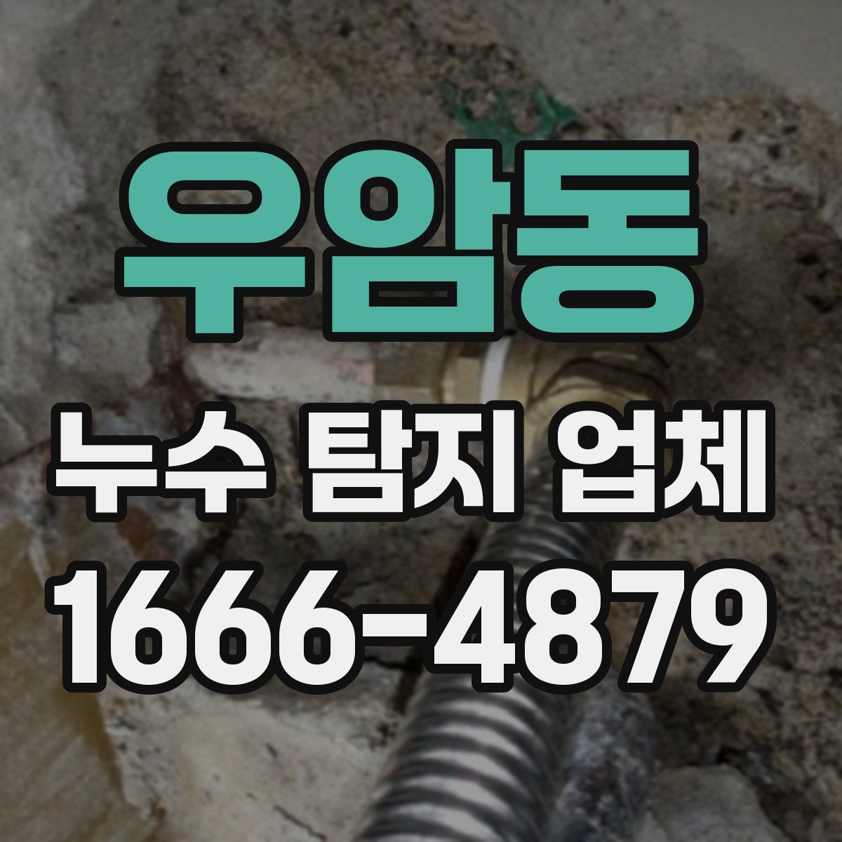 우암동 누수 탐지 업체