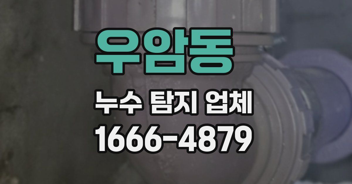 우암동 누수 탐지 업체