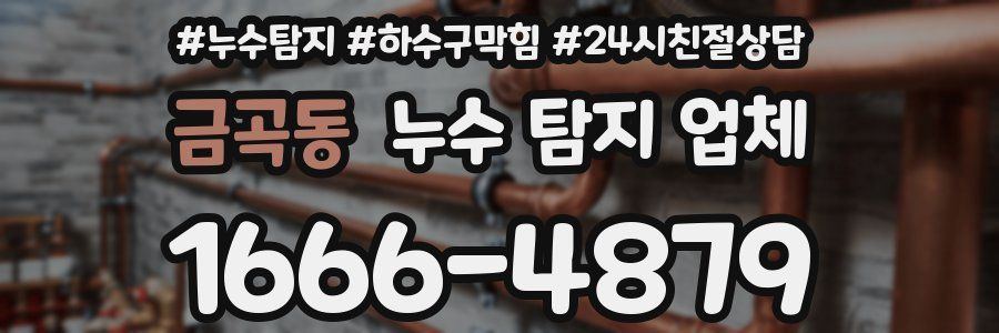 금곡동 누수 탐지 업체