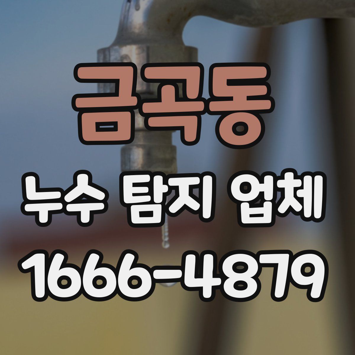 금곡동 누수 탐지 업체