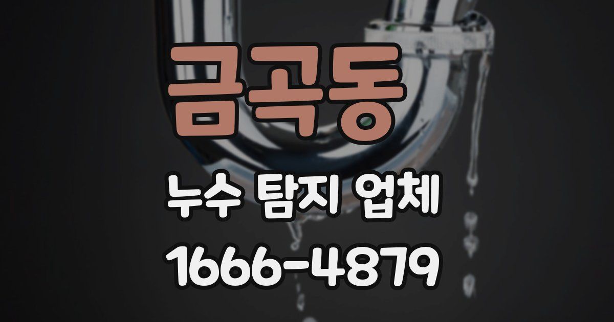 금곡동 누수 탐지 업체