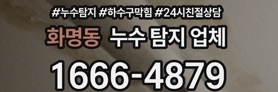 화명동 누수 탐지 업체