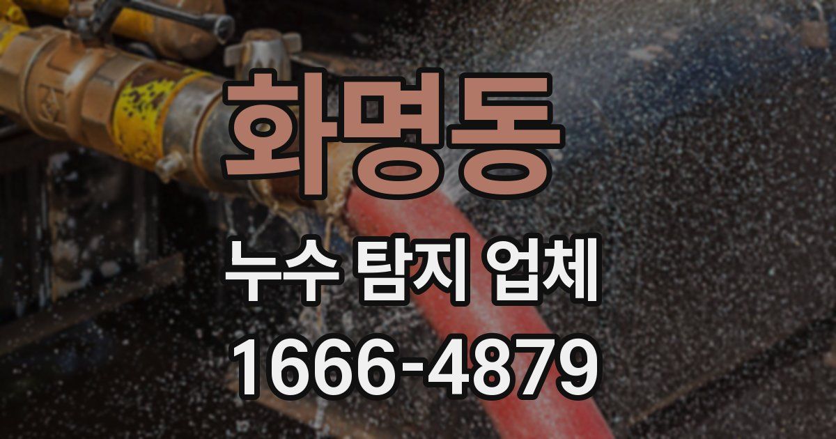 화명동 누수 탐지 업체
