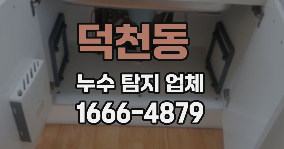 덕천동 누수 탐지 업체