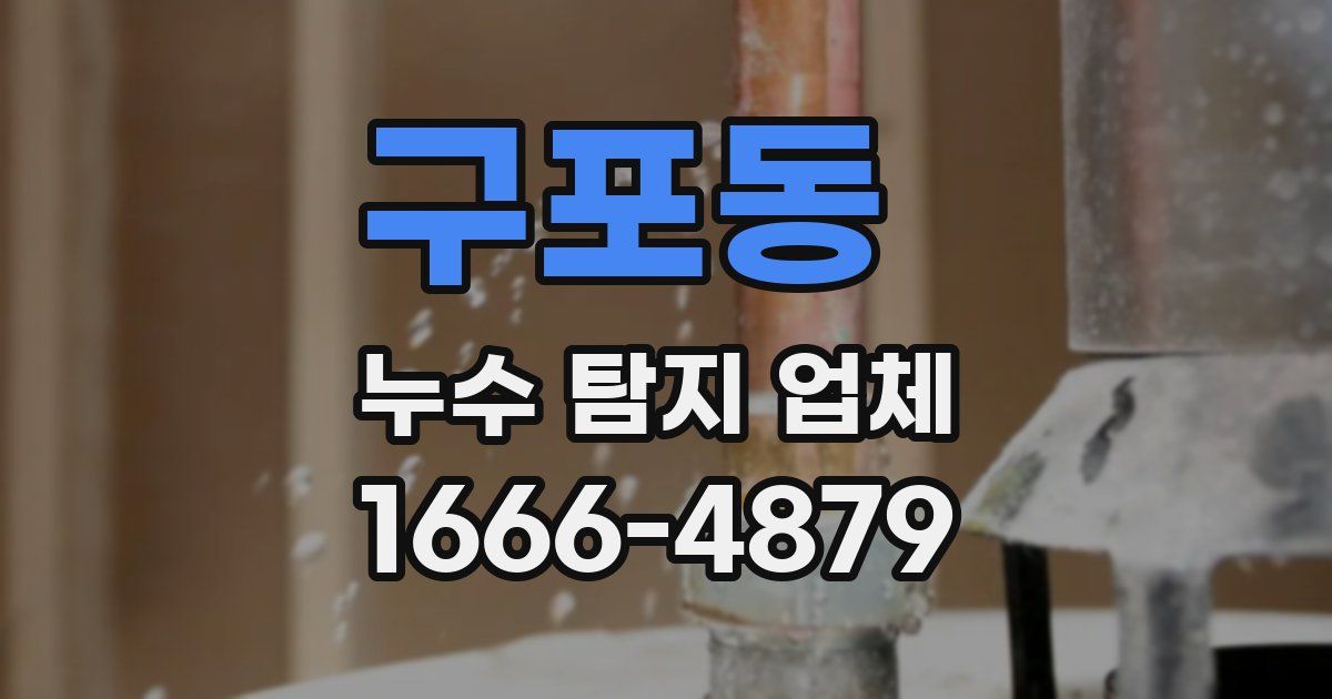 구포동 누수 탐지 업체