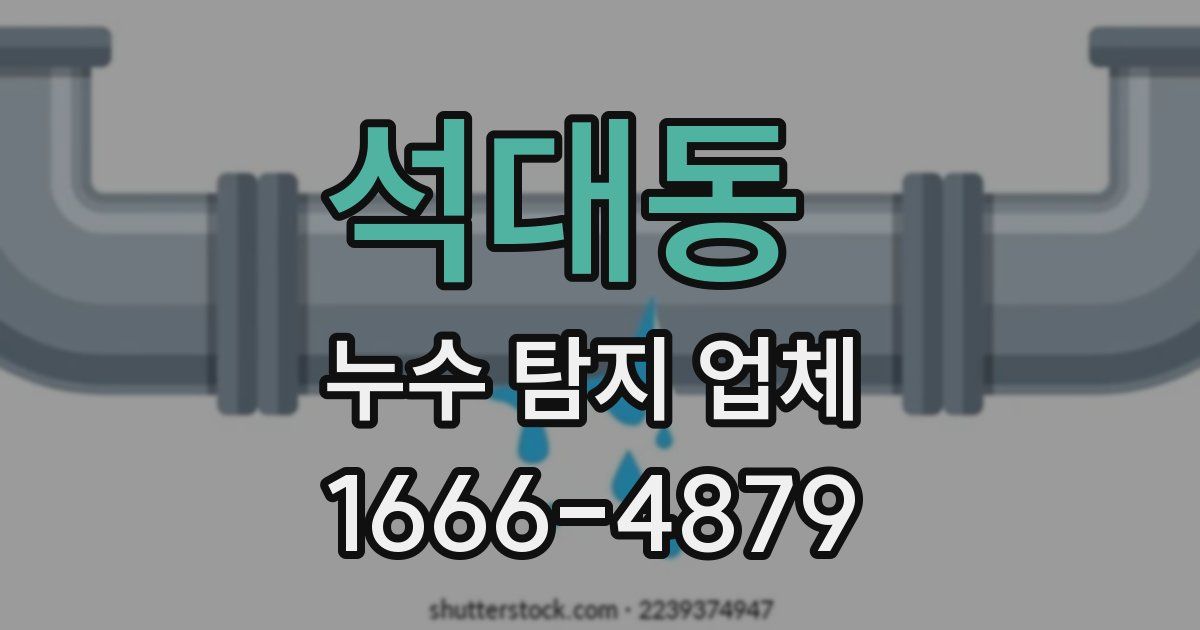 석대동 누수 탐지 업체