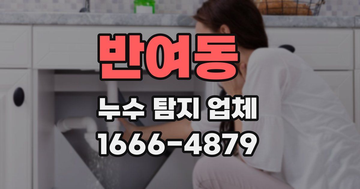 반여동 누수 탐지 업체