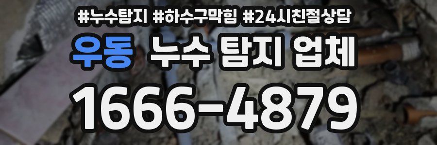우동 누수 탐지 업체