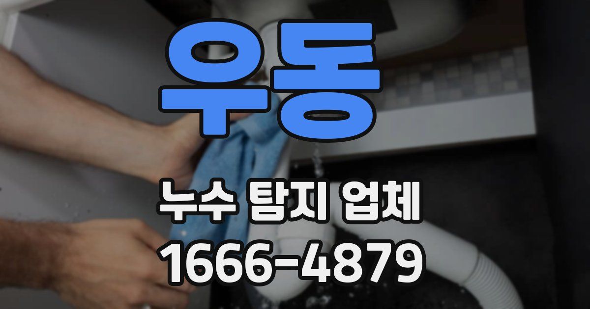 우동 누수 탐지 업체
