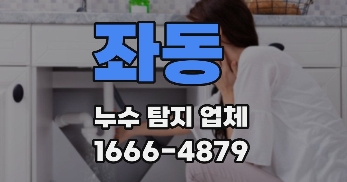 좌동 누수 탐지 업체