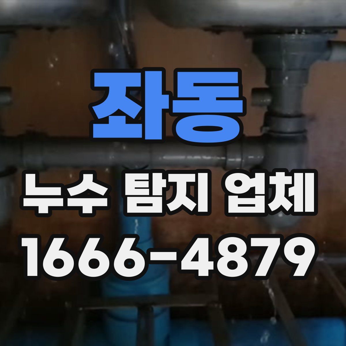 좌동 누수 탐지 업체