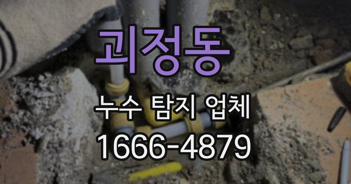 괴정동 누수 탐지 업체