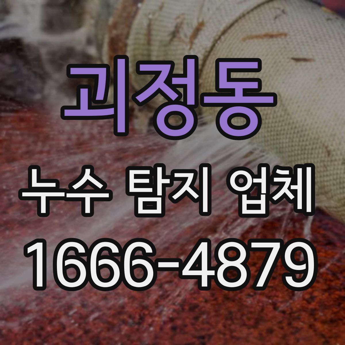 괴정동 누수 탐지 업체