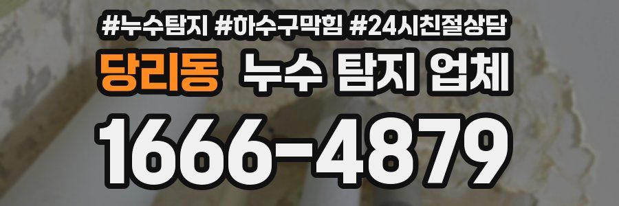 당리동 누수 탐지 업체