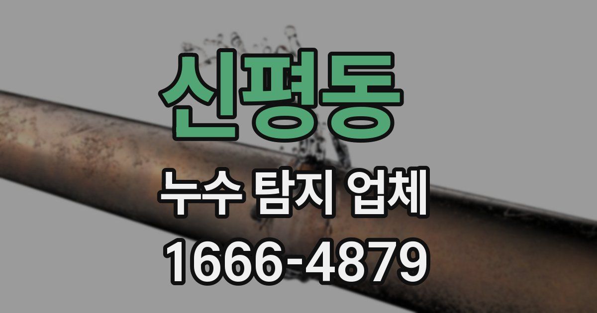 신평동 누수 탐지 업체