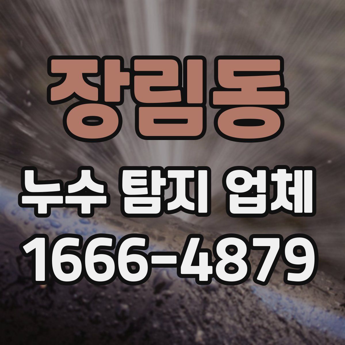 장림동 누수 탐지 업체