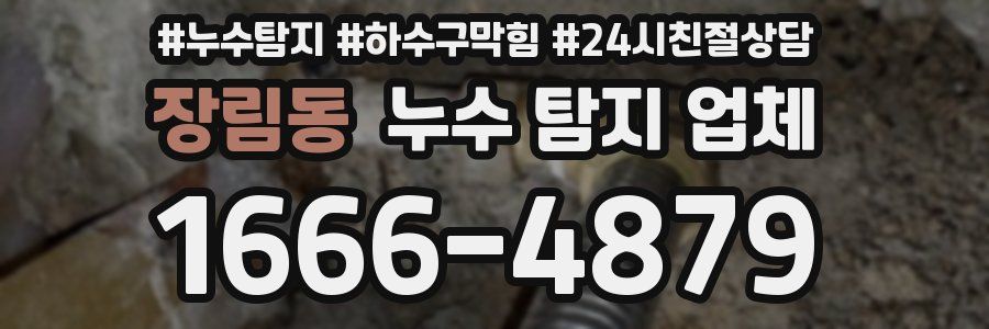 장림동 누수 탐지 업체