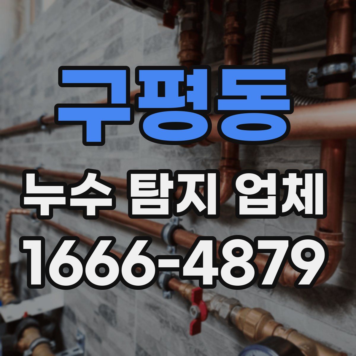 구평동 누수 탐지 업체