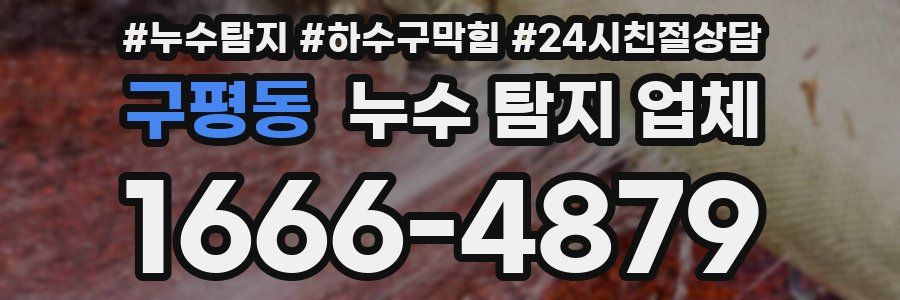 구평동 누수 탐지 업체