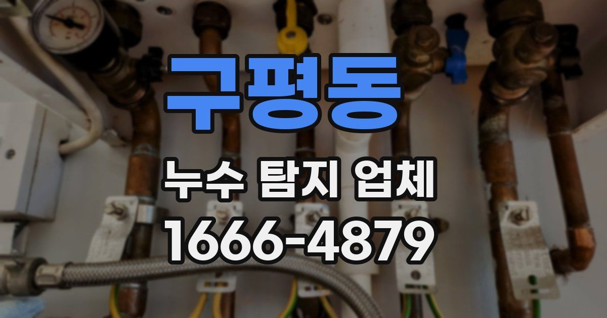 구평동 누수 탐지 업체