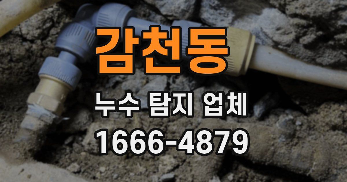 감천동 누수 탐지 업체