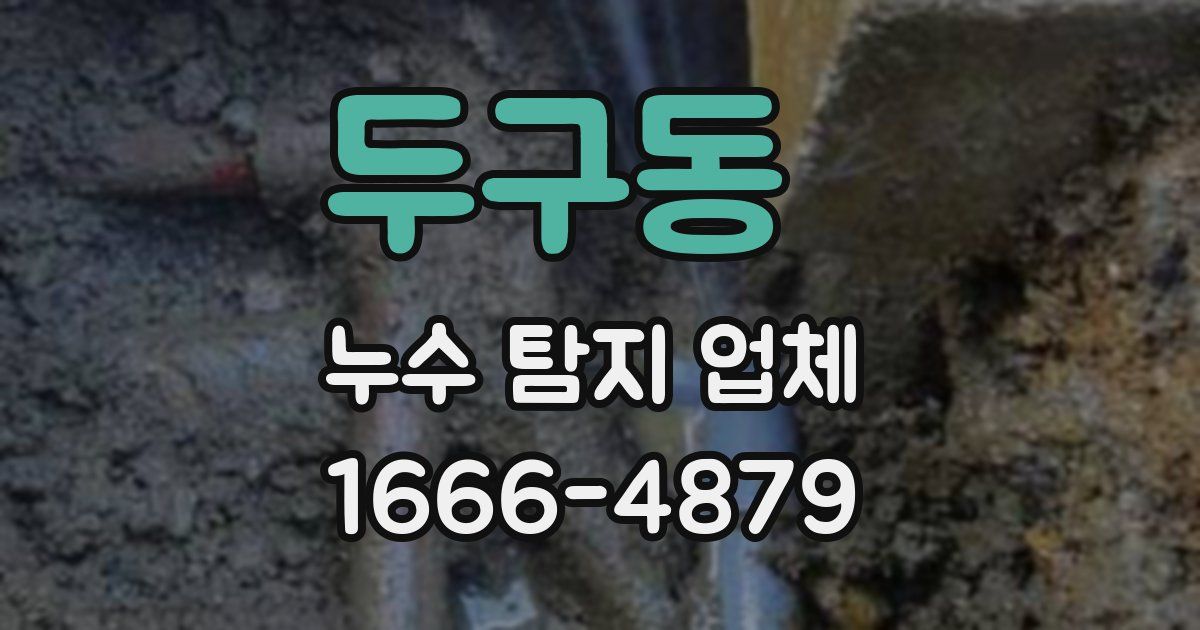 두구동 누수 탐지 업체