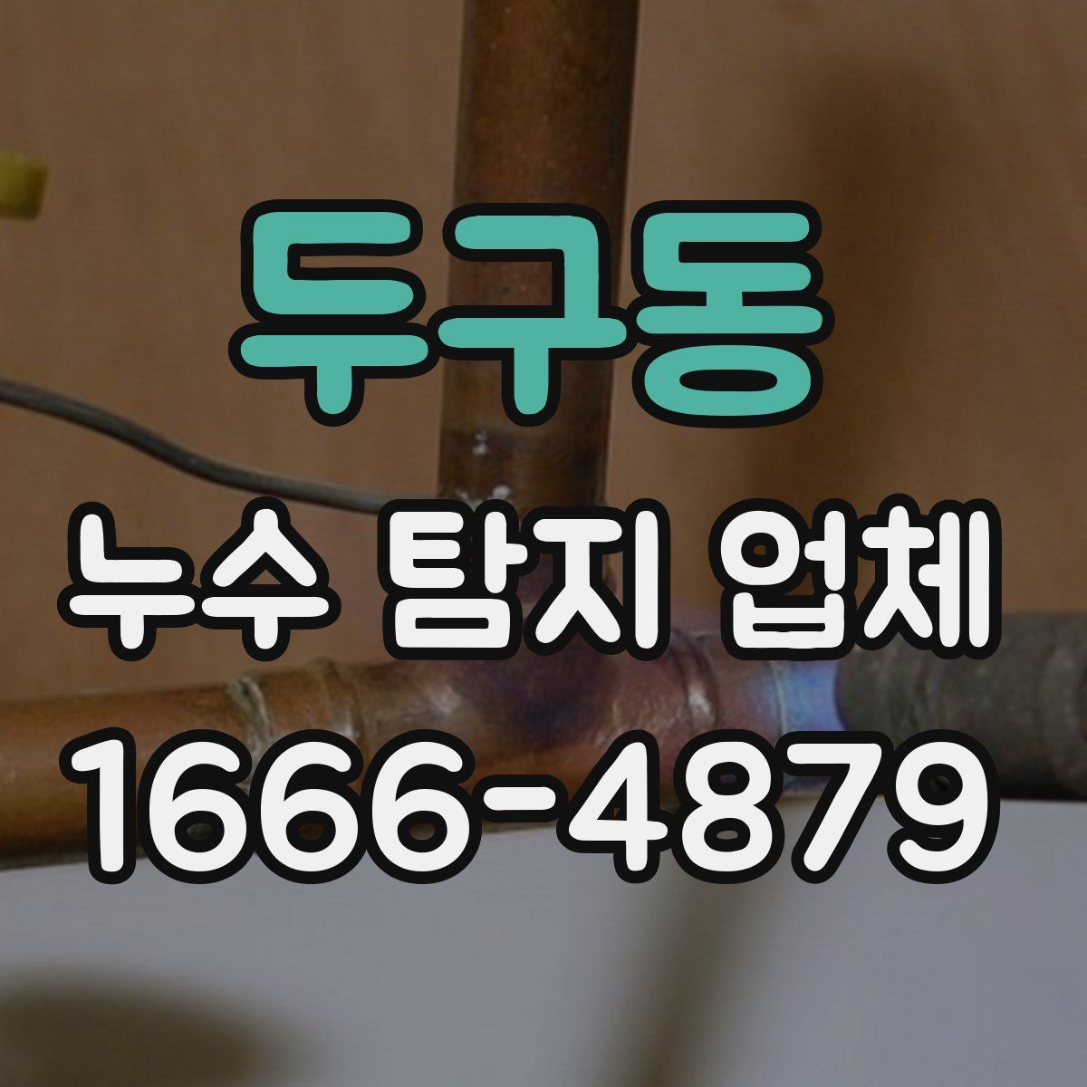 두구동 누수 탐지 업체