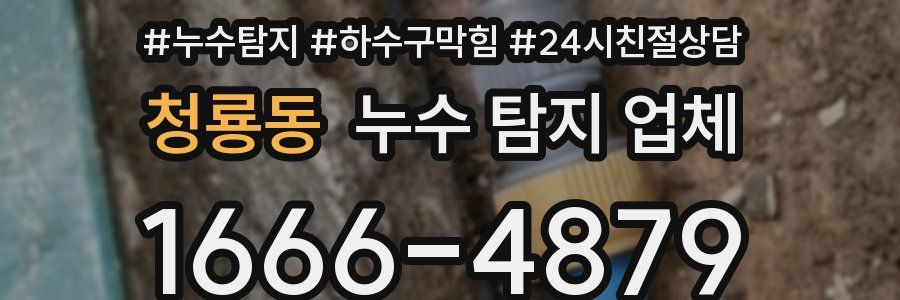 청룡동 누수 탐지 업체