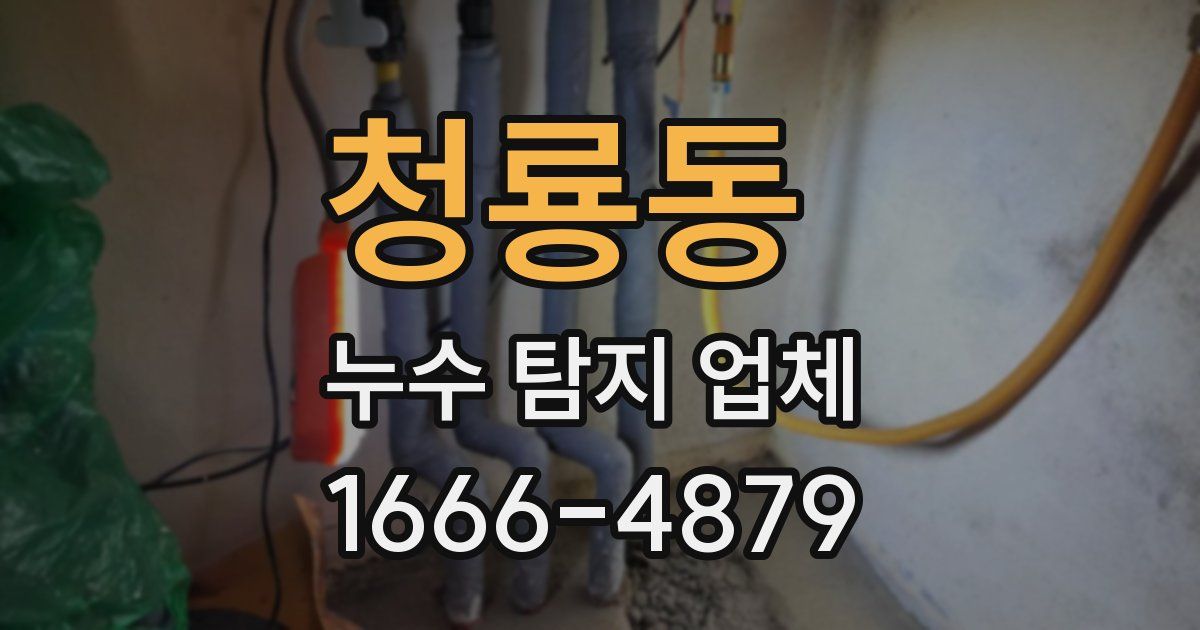 청룡동 누수 탐지 업체