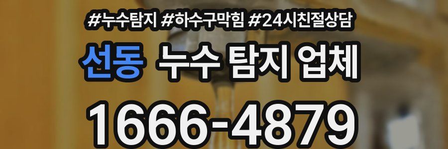 선동 누수 탐지 업체