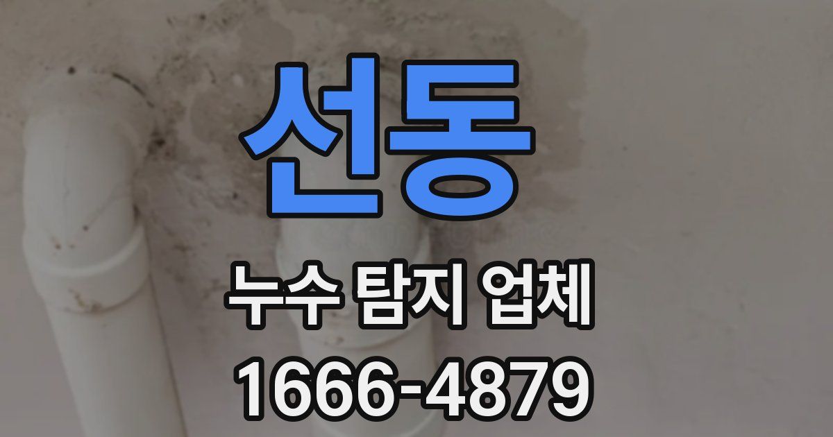 선동 누수 탐지 업체