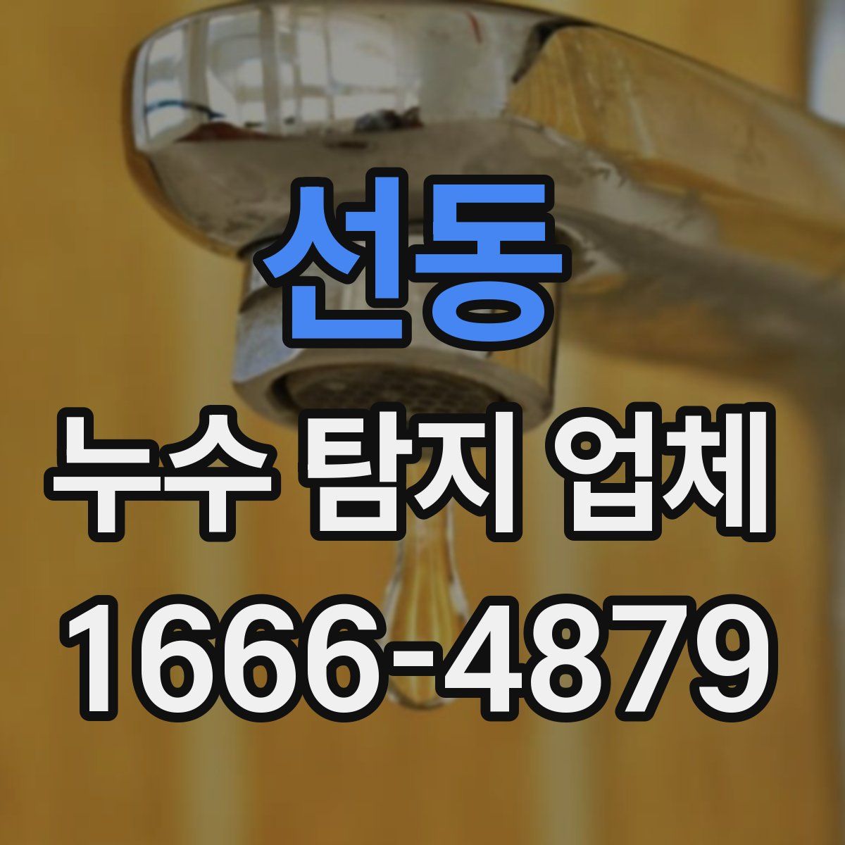 선동 누수 탐지 업체