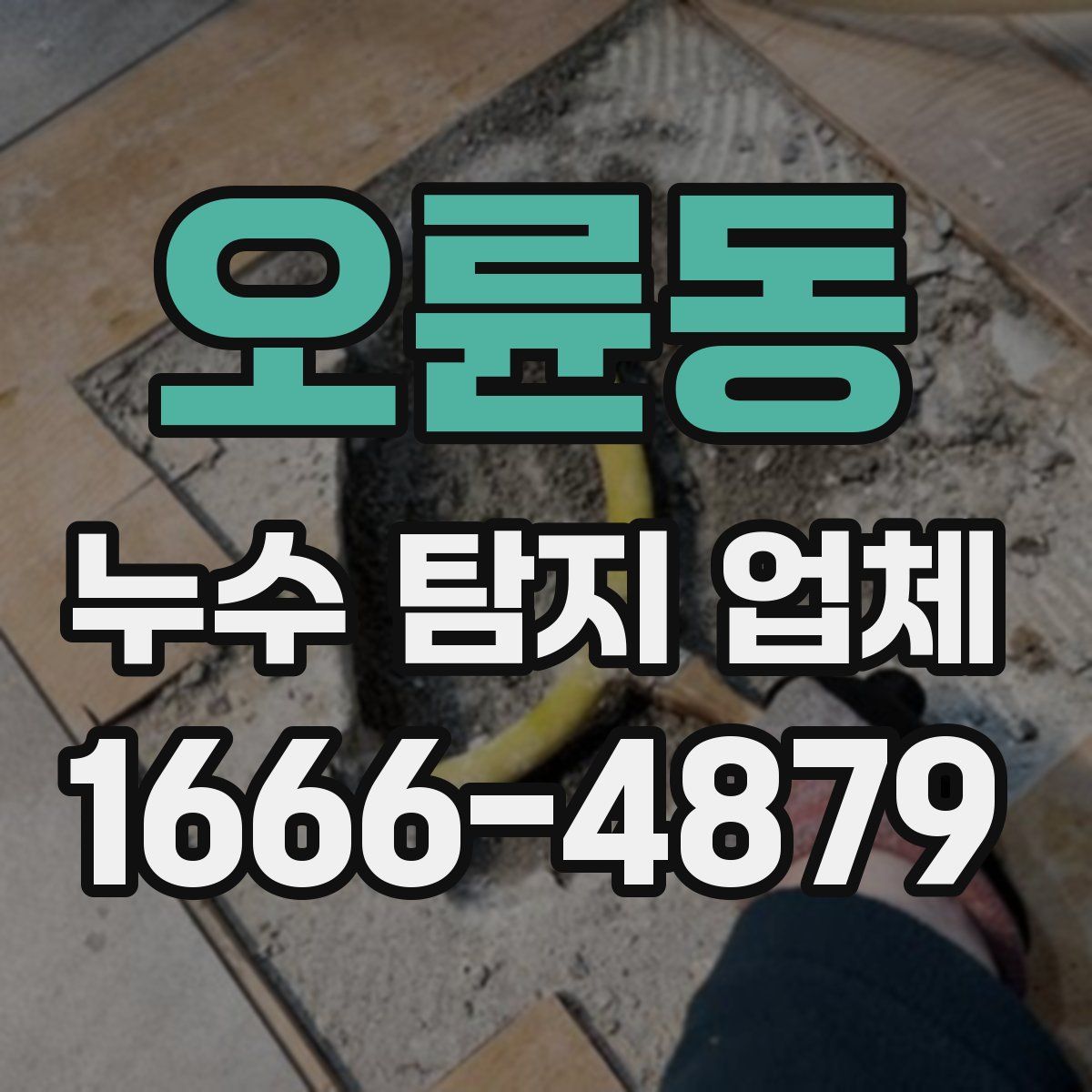오륜동 누수 탐지 업체