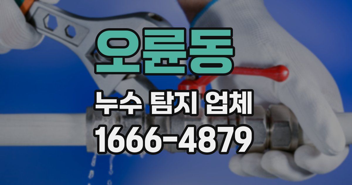 오륜동 누수 탐지 업체