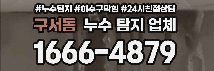 구서동 누수 탐지 업체