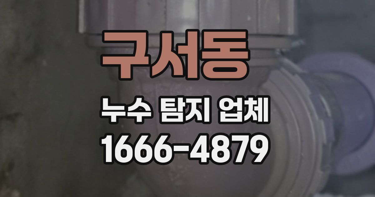 구서동 누수 탐지 업체