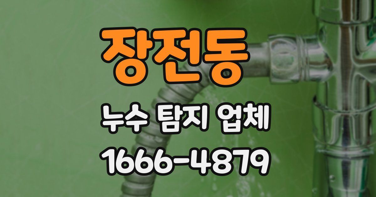 장전동 누수 탐지 업체