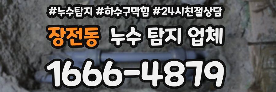 장전동 누수 탐지 업체
