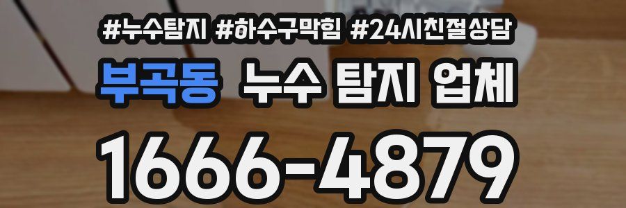 부곡동 누수 탐지 업체