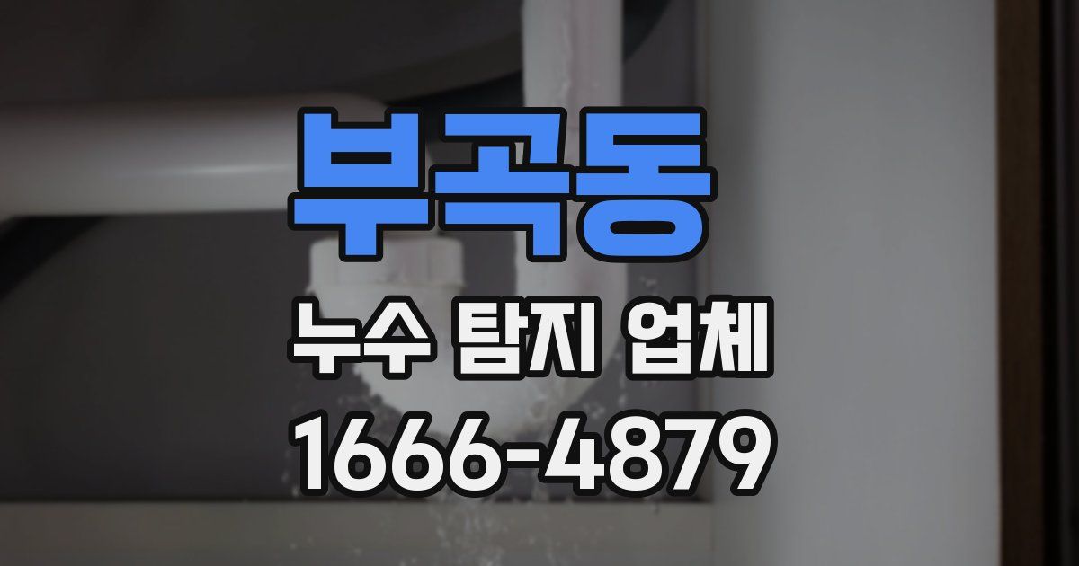 부곡동 누수 탐지 업체