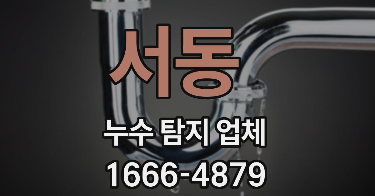 서동 누수 탐지 업체