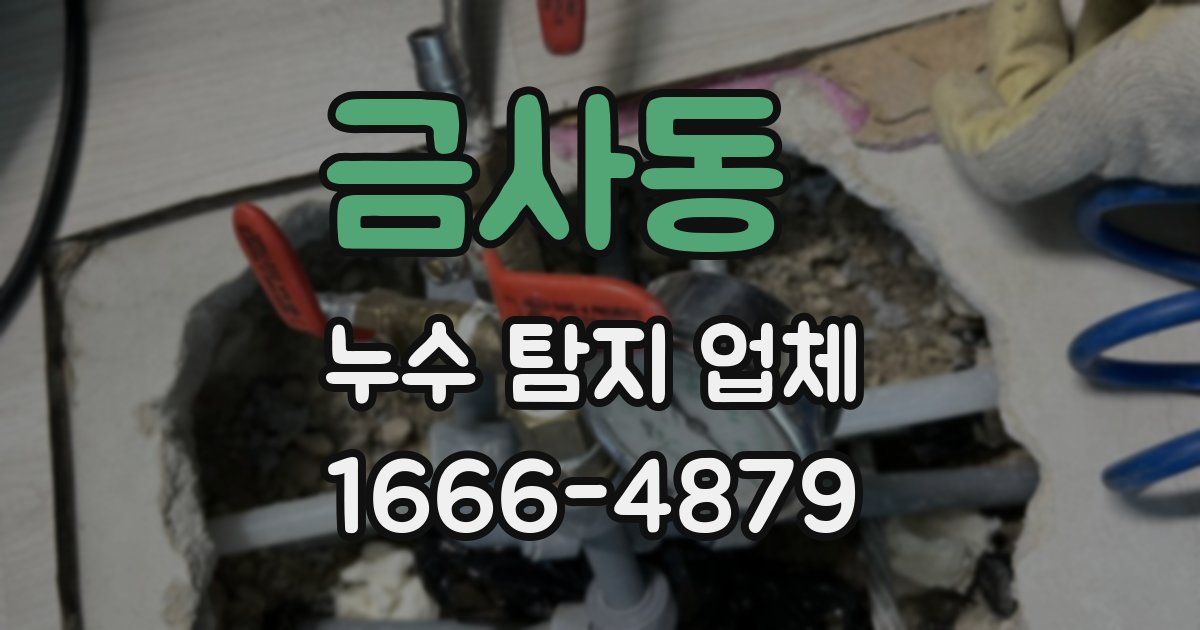 금사동 누수 탐지 업체