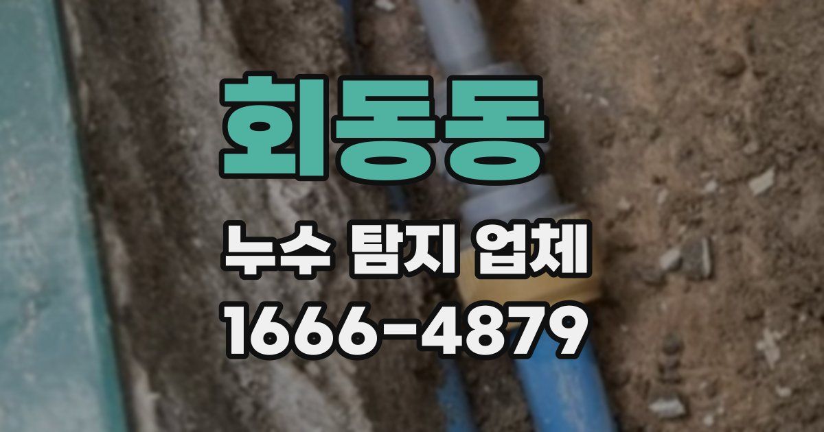 회동동 누수 탐지 업체