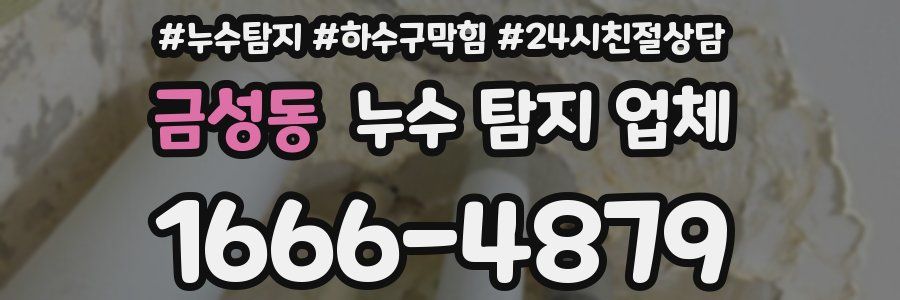 금성동 누수 탐지 업체