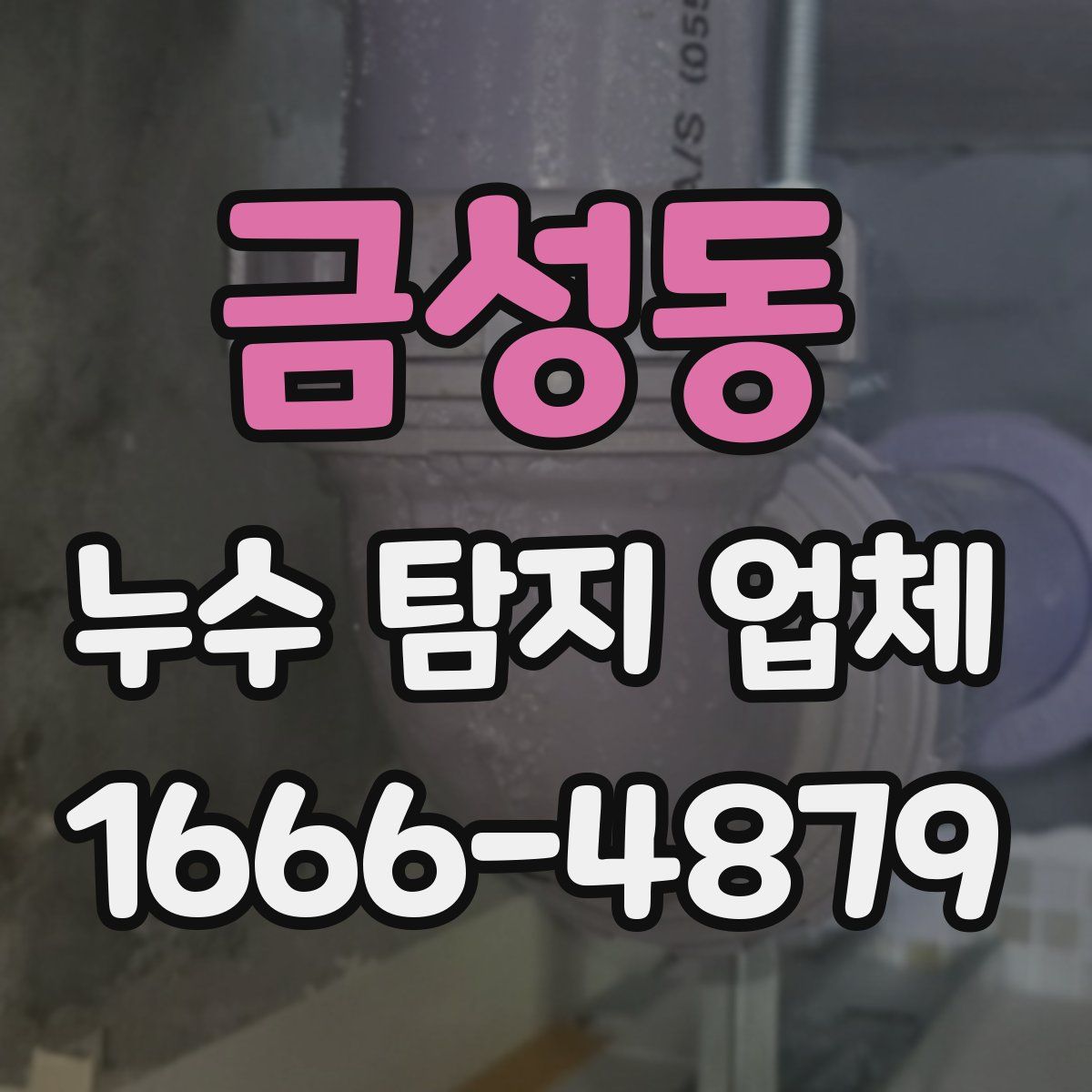 금성동 누수 탐지 업체
