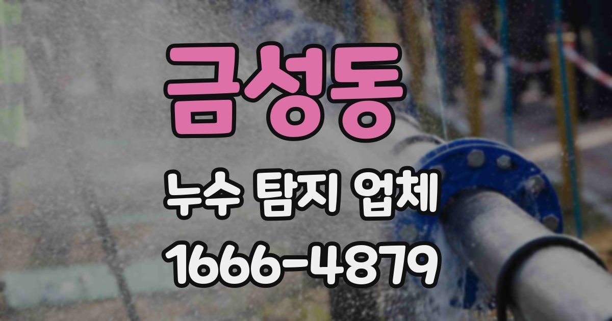 금성동 누수 탐지 업체