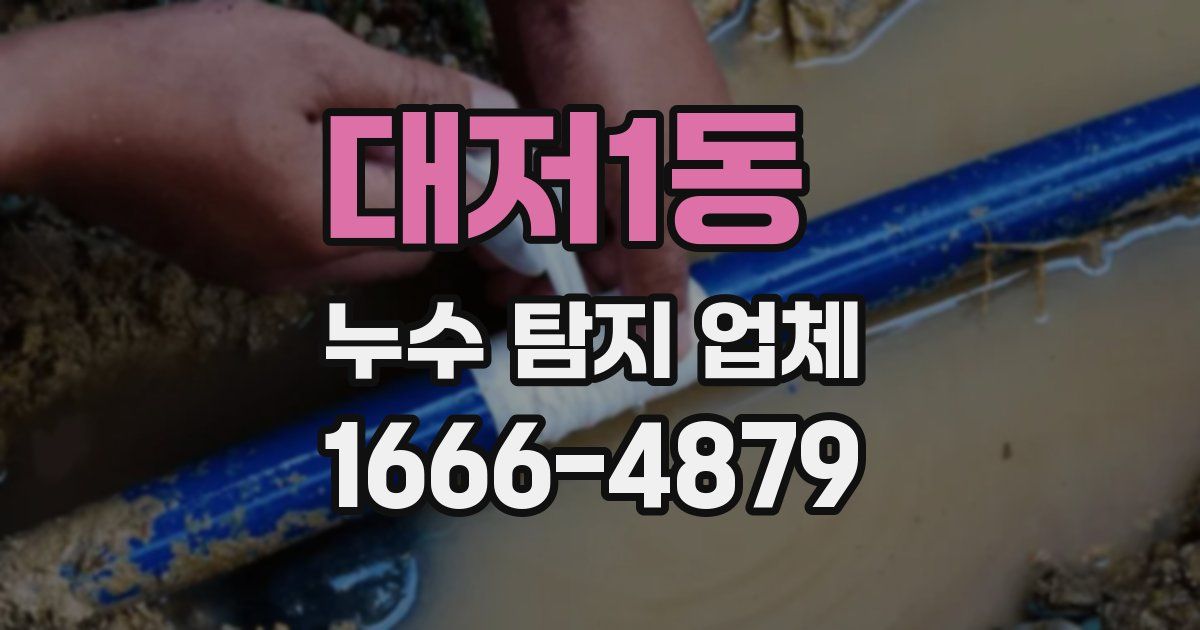 대저1동 누수 탐지 업체